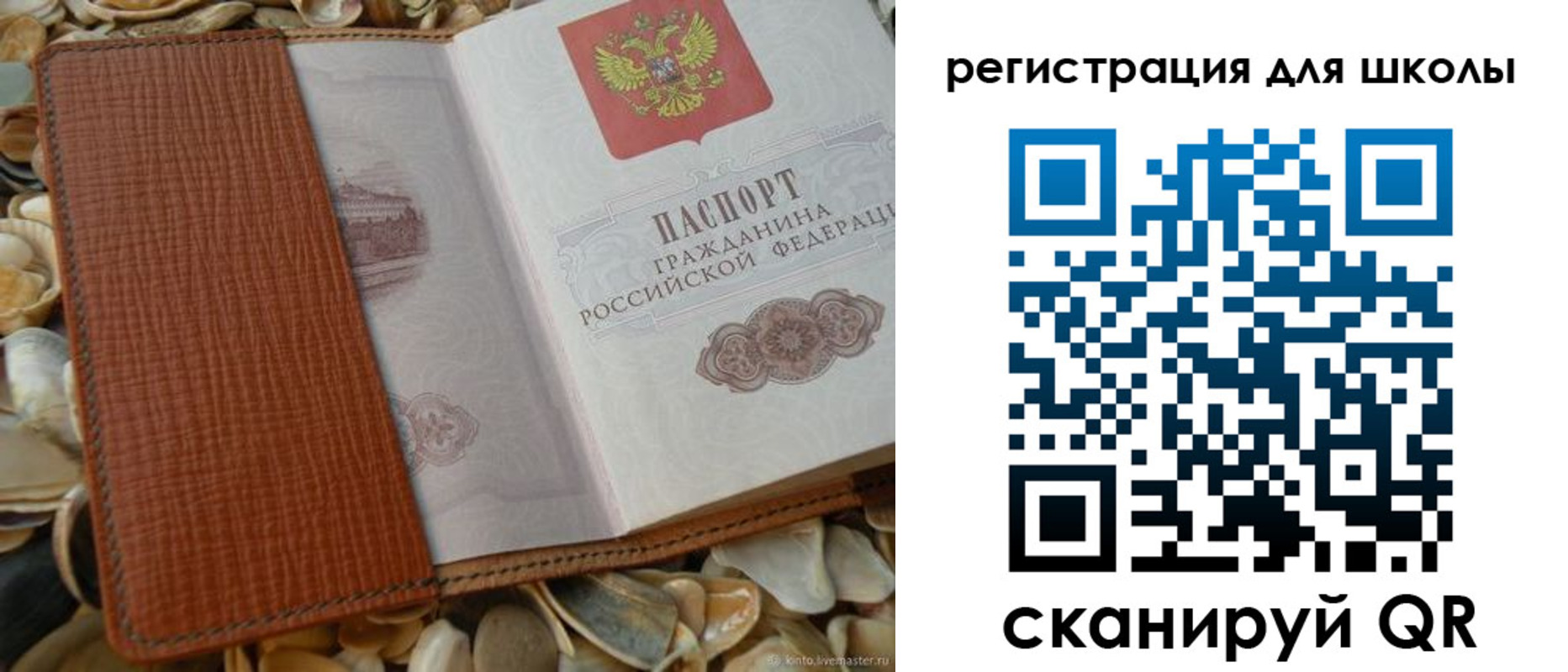 пропишу в квартире в Мончегорске